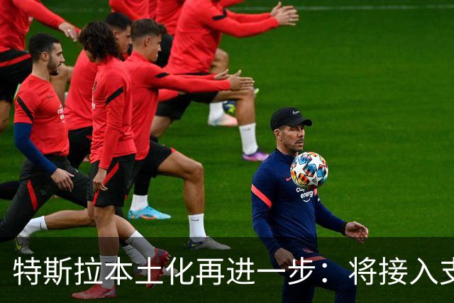 特斯拉本土化再进一步：将接入支付宝车载助手，告别手机停车缴费